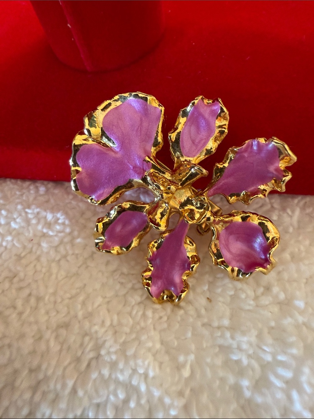 Come dig with me.  Unlisted gorgeousness in every price range. - Picture 17 of 17